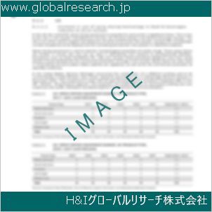 グローバルリサーチ調査資料のイメージ